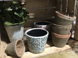 Old style Dutch pot, weathered terracotta pots & foliage bush