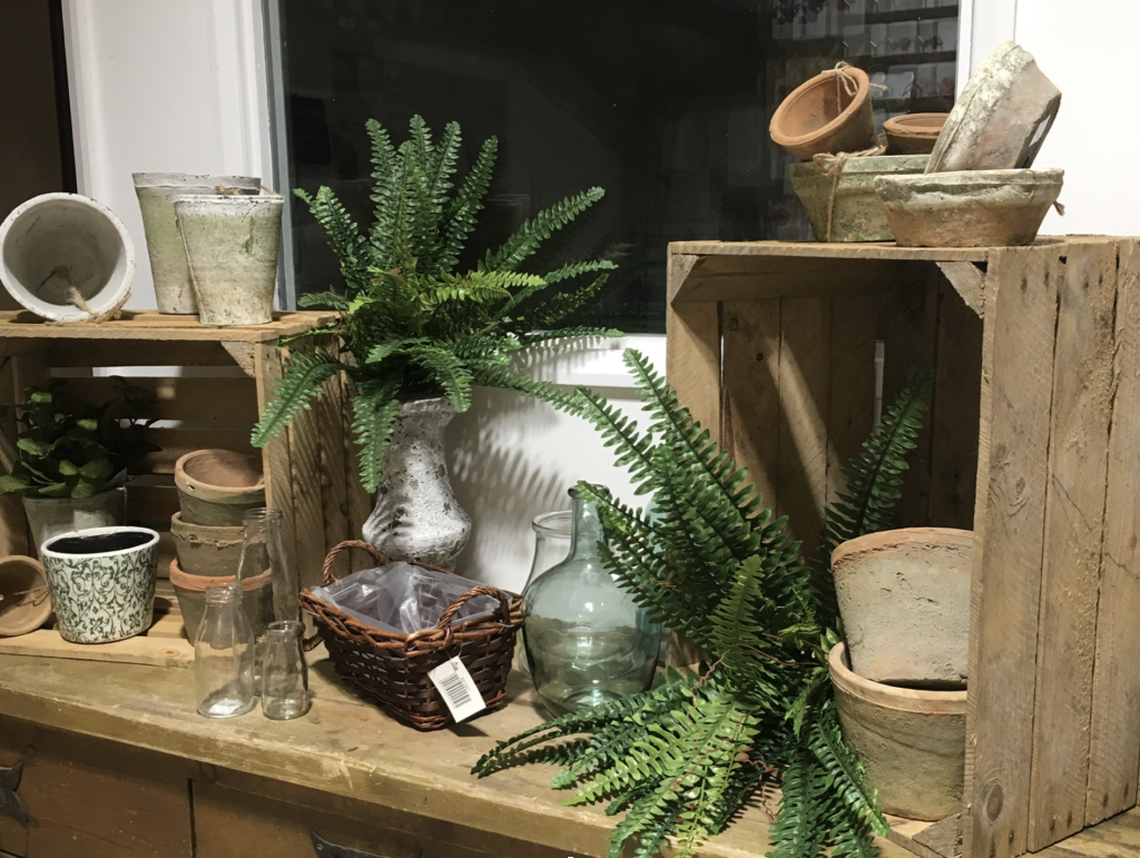 Glassware, terracotta weathered pots, Boston Fern