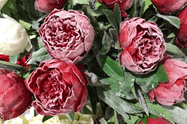 Christmas 2018 at Flourish Trading