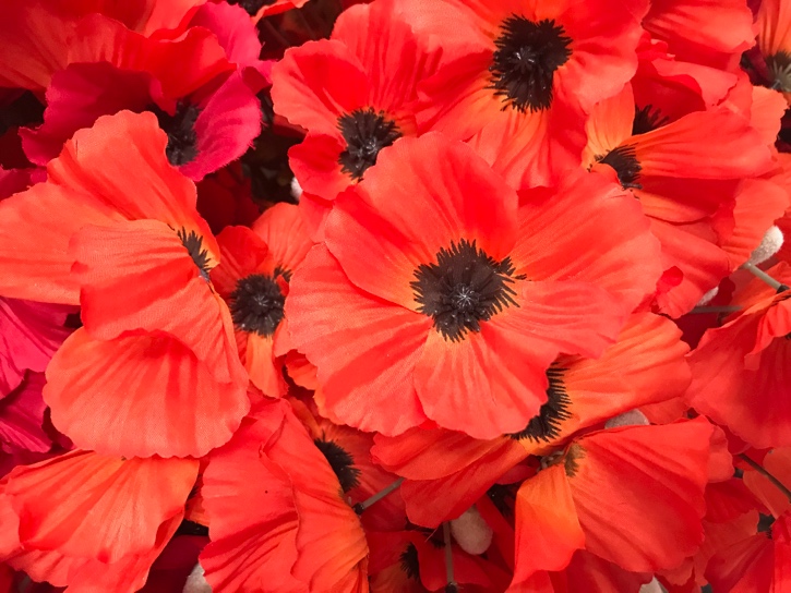 Silk poppies for Remembrance Day