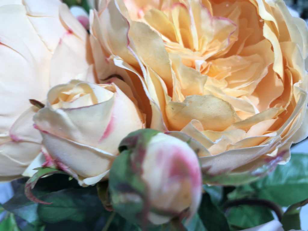 Pale pink hybrid roses in our Exclusives Range