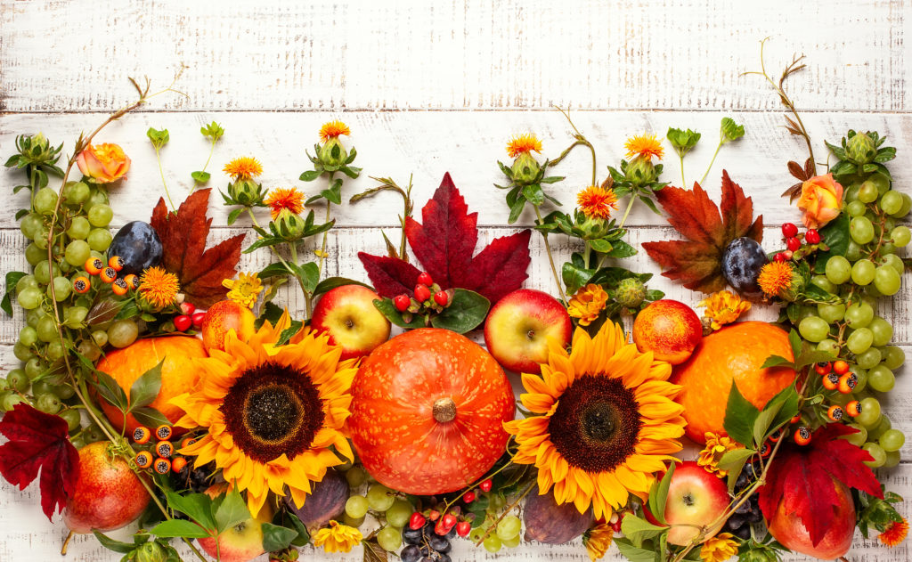 Enjoy creating a harvest festival display with selected products from our Autumn collection