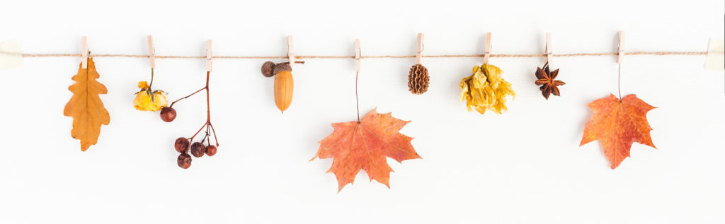 Create a hanging displays with autumn items such as berries, faux fruit and leaves for your store