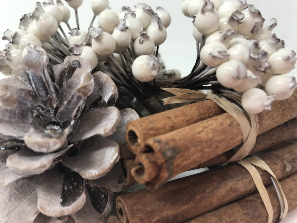 White rose hip bunch with cinnamon bundle and pine cone